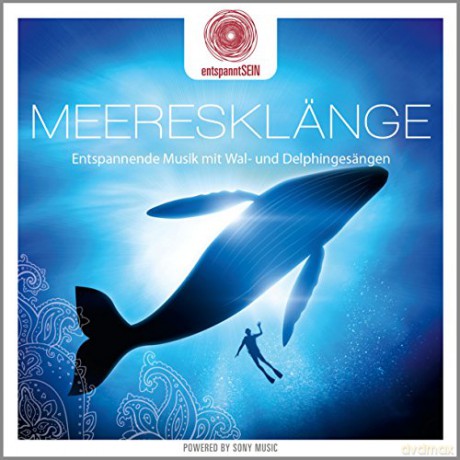 Davy Jones: Entspanntsein - Meeresklänge (Entspannende Musik M [CD]