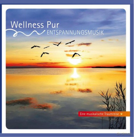 Wellness Pur: Entspannungsmusik-Musikal.Traumreise [CD]