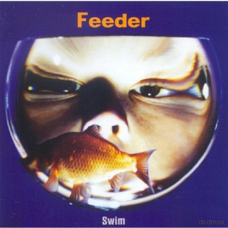Feeder-Swin. [CD]