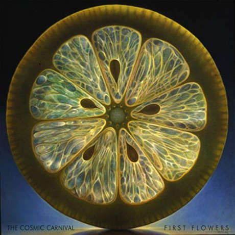 Cosmic Carnival: First Flowers [CD]