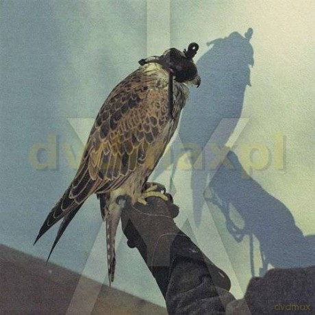 Iceage: You`Re Nothing [CD]