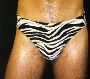 Hunx And His Punx: Gay Singles [CD]