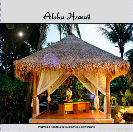 Aloha Hawaii - hawajska muzyka [CD]