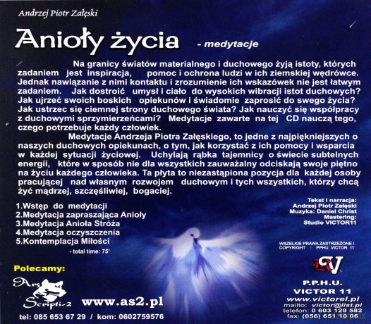 Anioły Życia - Medytacje - Piotr Załęski  [CD]