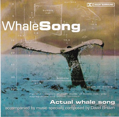 Whale Song: Gilbert Becaud [CD]