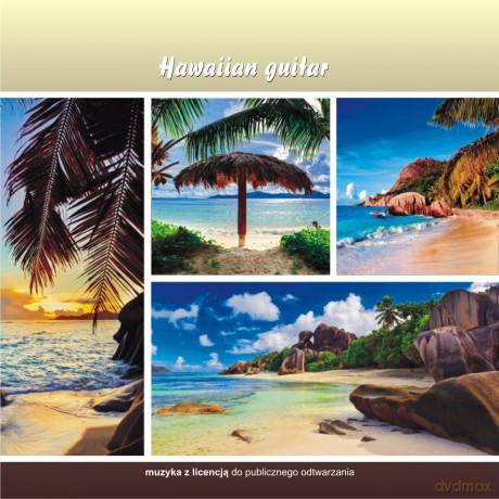 Hawaiian guitar  [CD]