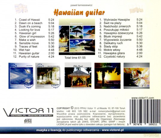Hawaiian guitar  [CD]