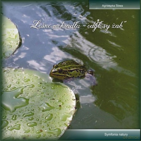 Leśne mokradła - odgłosy żab  [CD]