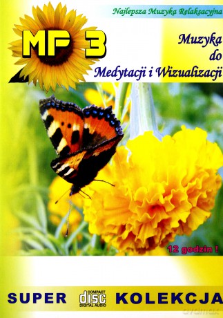 Muzyka Do Medytacji I Wizualizacji [AUDIOBOOK]