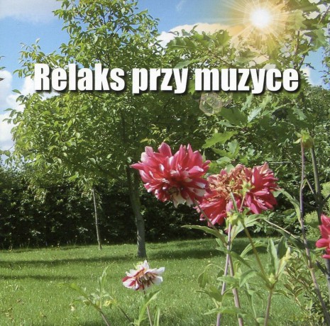 Relaks przy Muzyce - Marcin Siwiec  [CD]
