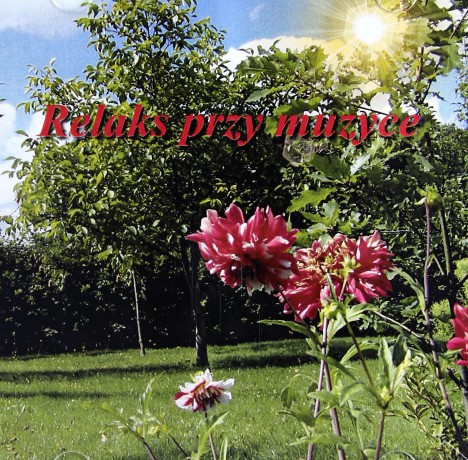 Relaks przy Muzyce - Marcin Siwiec  [CD]