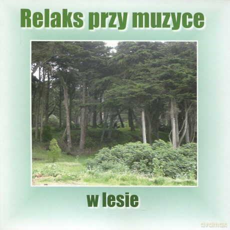 Relaks przy Muzyce w Lesie - Marcin Siwiec  [CD]