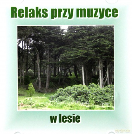 Relaks przy Muzyce w Lesie - Marcin Siwiec  [CD]