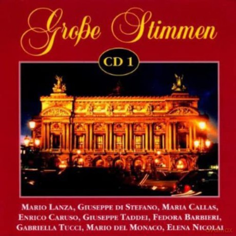 Grosse Stimmen 1 [CD]