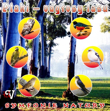 Odgłosy Lasu  [CD]