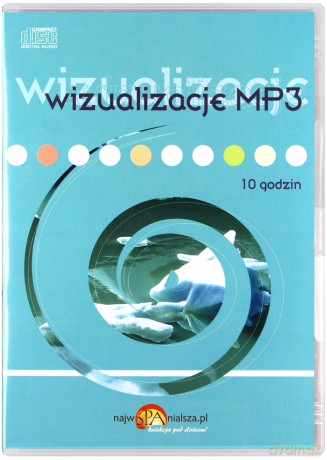 Wizualizacje [AUDIOBOOK]