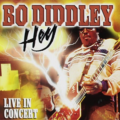 Hey-Bo Diddley [CD]