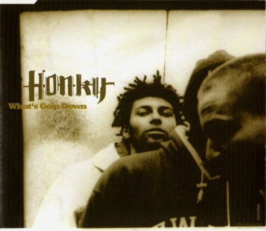 Honky-What'sw Goin Down -Cds- [CD]
