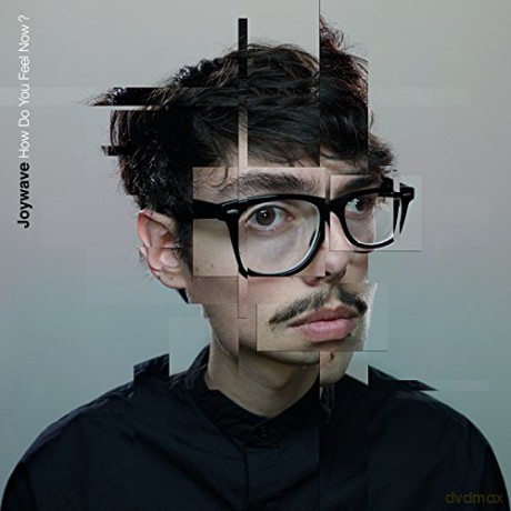 Joywave: How Do You Feel Now [CD]