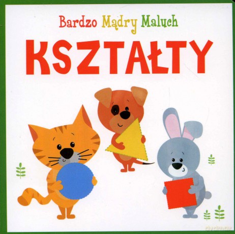 Kształty. Bardzo Mądry Maluch [KSIĄŻKA]