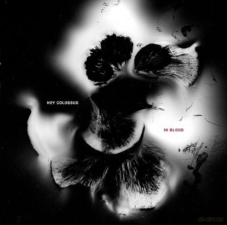 Hey Colossus: In Blood [CD]