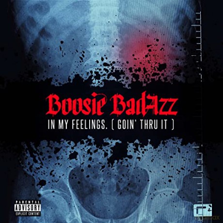 Boosie Badazz: In My Feelings (Goin Thru It) [CD]