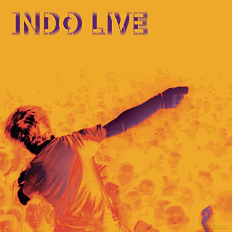 Indochine: Indo Live [2CD]