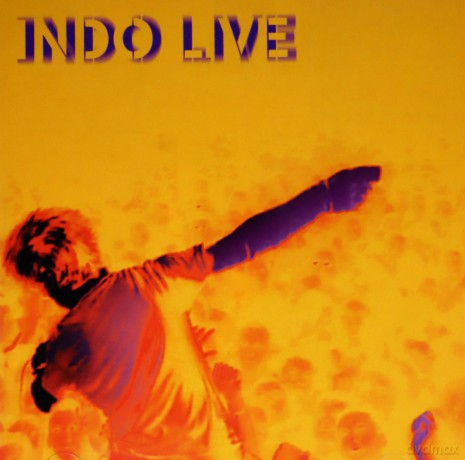 Indochine: Indo Live [2CD]