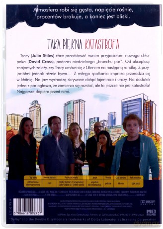 Taka piękna katastrofa [DVD]