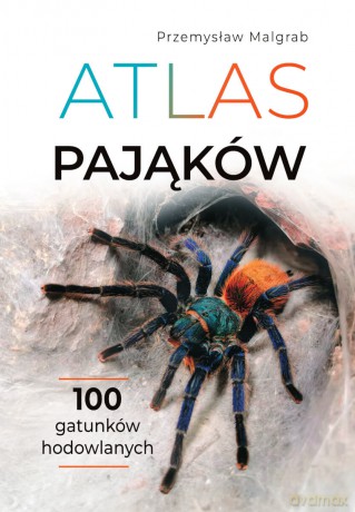Atlas pająków - Przemysław Malgrab [KSIĄŻKA]