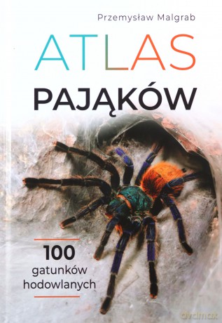 Atlas pająków - Przemysław Malgrab [KSIĄŻKA]