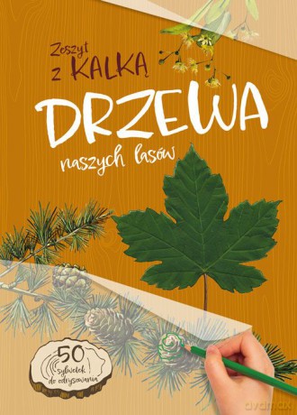 Drzewa naszych lasów. Zeszyt z kalką - Andżelika Bielańska [KSIĄŻKA]