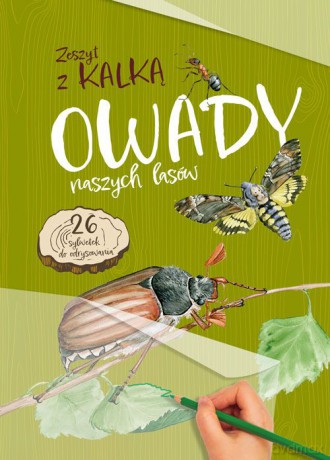Owady naszych lasów. Zeszyt z kalką - Katarzyna Kopiec-Sekieta [KSIĄŻKA]