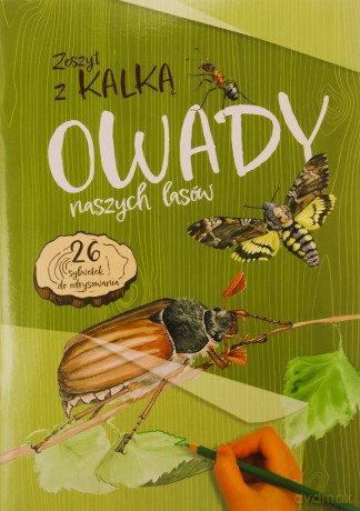 Owady naszych lasów. Zeszyt z kalką - Katarzyna Kopiec-Sekieta [KSIĄŻKA]