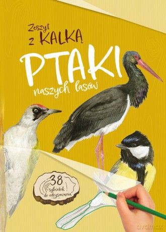 Ptaki naszych lasów. Zeszyt z kalką - Katarzyna Kopiec-Sekieta [KSIĄŻKA]