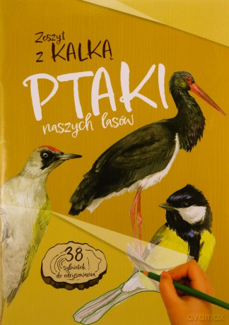 Ptaki naszych lasów. Zeszyt z kalką - Katarzyna Kopiec-Sekieta [KSIĄŻKA]