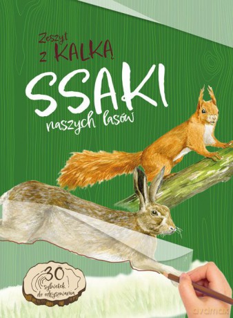 Ssaki naszych lasów. Zeszyt z kalką - Katarzyna Kopiec-Sekieta [KSIĄŻKA]