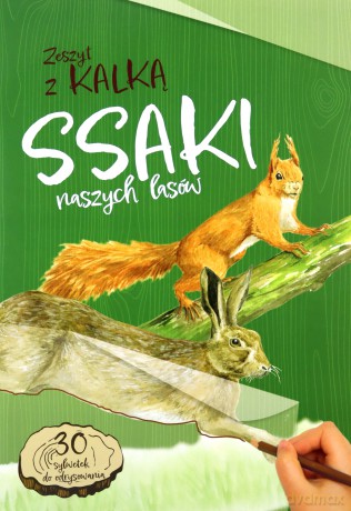 Ssaki naszych lasów. Zeszyt z kalką - Katarzyna Kopiec-Sekieta [KSIĄŻKA]
