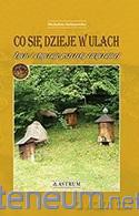 Co się dzieje w ulach - Michalina Stefanowska [KSIĄŻKA]
