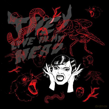 Bush Tetras: They Live in My Head [CD]