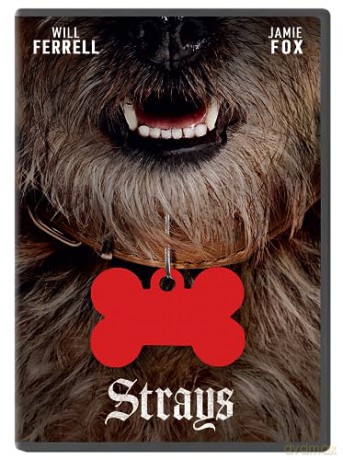 Strays (Spuszczone ze smyczy) [DVD]