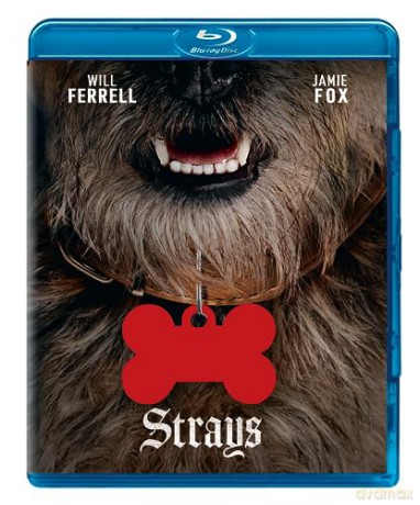 Strays (Spuszczone ze smyczy) [Blu-Ray]