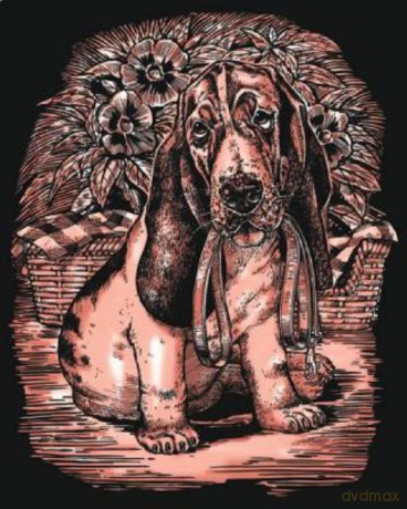 Artfoil Copper Bassett Hound 0612