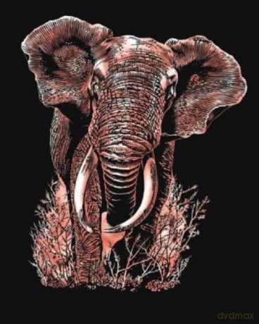 Artfoil Copper Elephant 0539