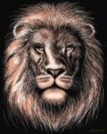 Artfoil Copper Lion 1019