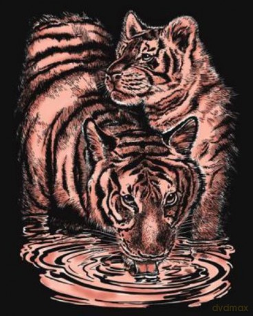 Artfoil Copper Tiger 0610