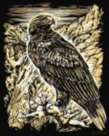 Artfoil Gold Eagle 1015
