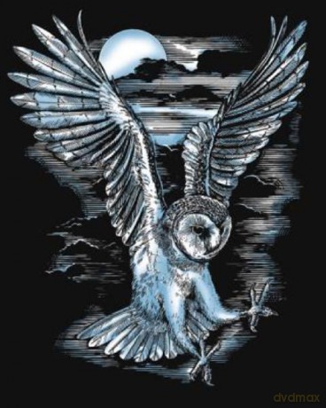 Artfoil Silver Barn Owl 0537