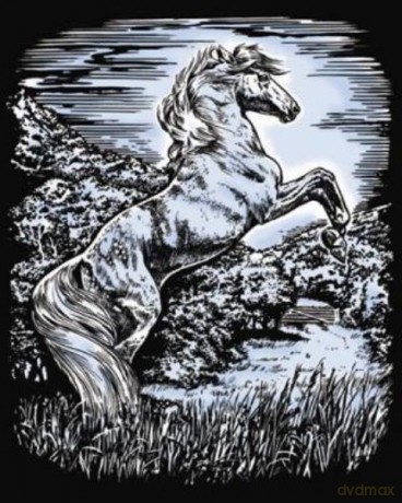 Artfoil Silver Stallion 1033