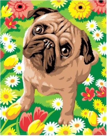 Painting by Numbers Junior Pug 1521